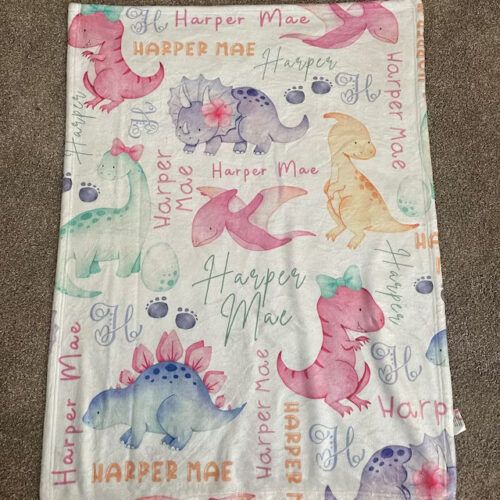 Dinosaur Baby Girl Blanket photo review